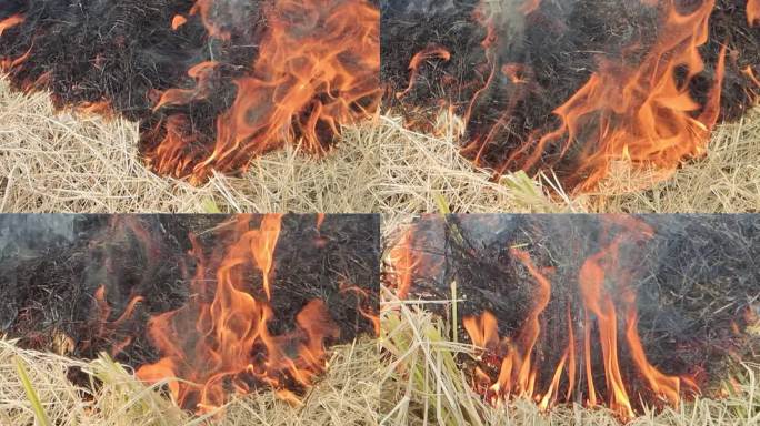 火烧浓烟田园乡村景象麦秆稻草稻香火炽烧火