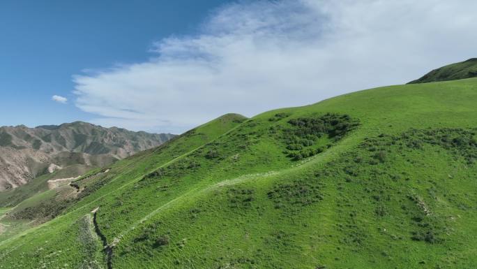 高山草原蓝天白云航拍