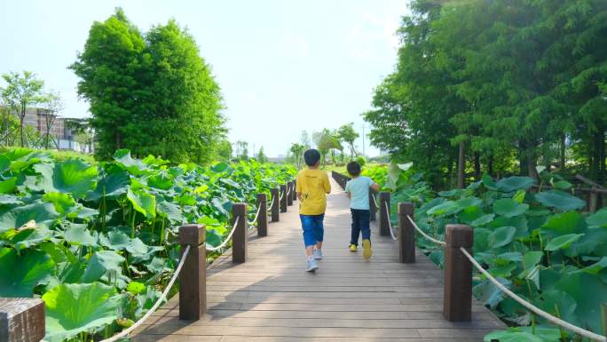 夏天小孩小朋友池塘边举着荷叶蹦蹦跳跳