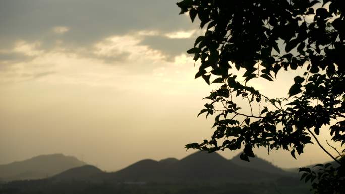 远山 山 自然 风景 阳光 树叶 剪影