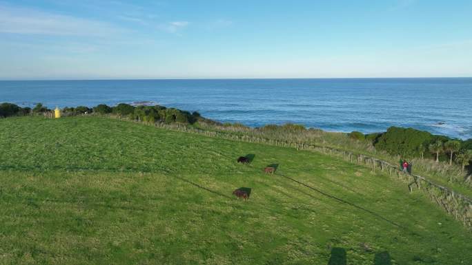 新西兰纯净唯美碧海蓝天绿地美景