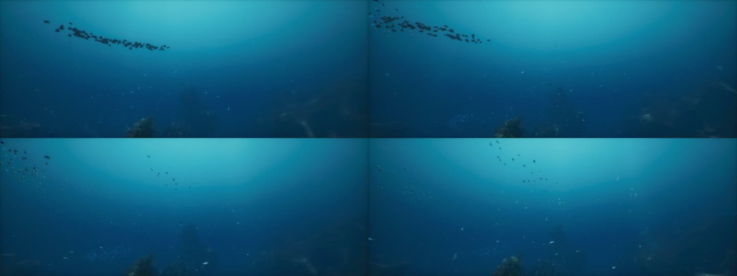 深海鱼群波光海底梦幻