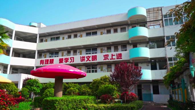 芜湖绿影小学4K视频素材