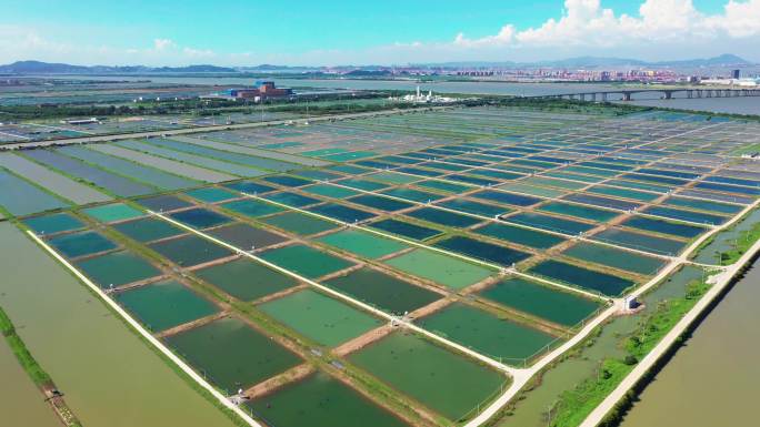 南沙湿地景区湿地学农基地、水鸟世界生态园