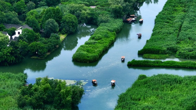 航拍夏季杭州西溪湿地公园