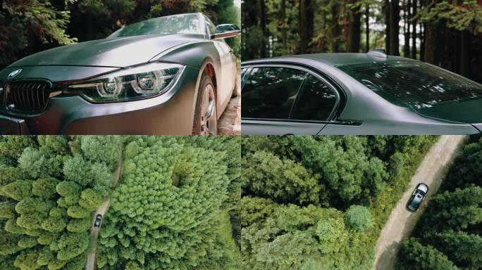 宝马3系列穿越森林宝马汽车自然