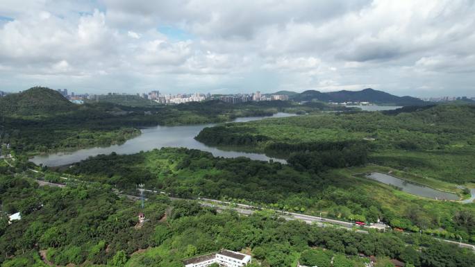 【正版素材】深圳铁岗水库