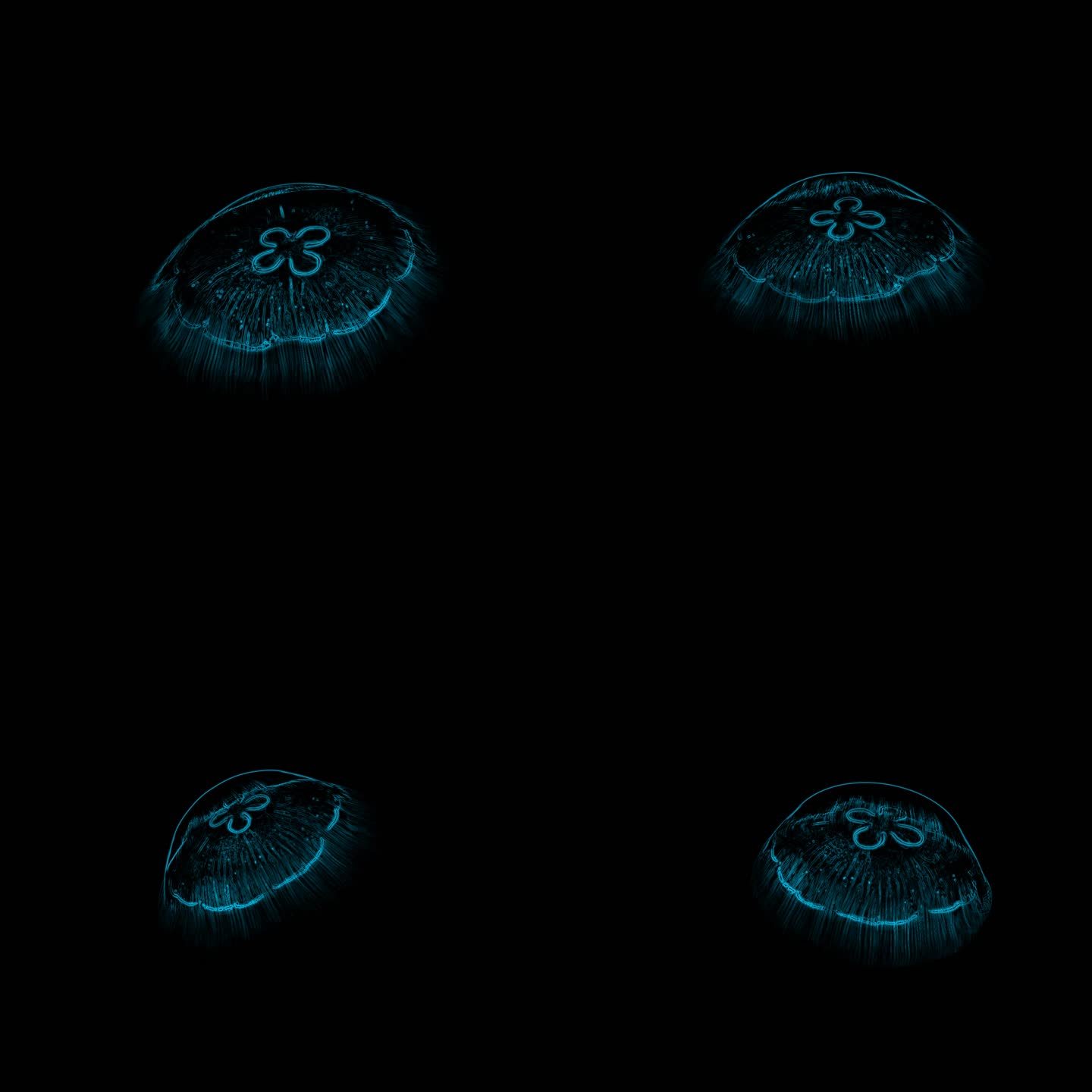 激光投影 水母 全息投影 山体投影