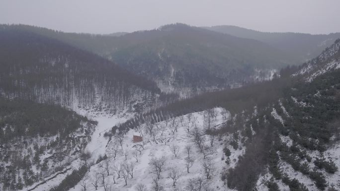 航拍山间林地雪地