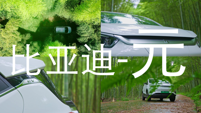 比亚迪元新能源汽车竹林自然