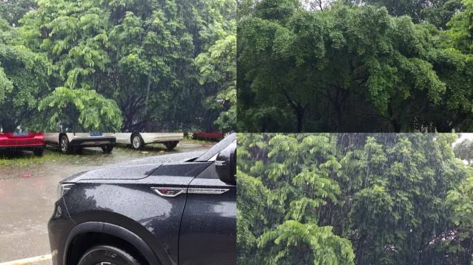 大雨雨丝