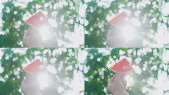 唯美清新素材阳光穿过手指夏日炎炎向往自由