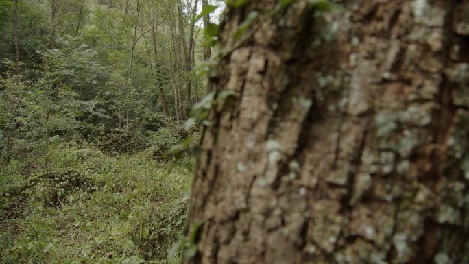 古兵寨 古山寨 岩石 垒砌 古遗迹