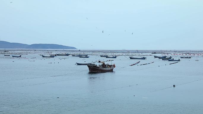 渔船海水养殖区海洋牧场