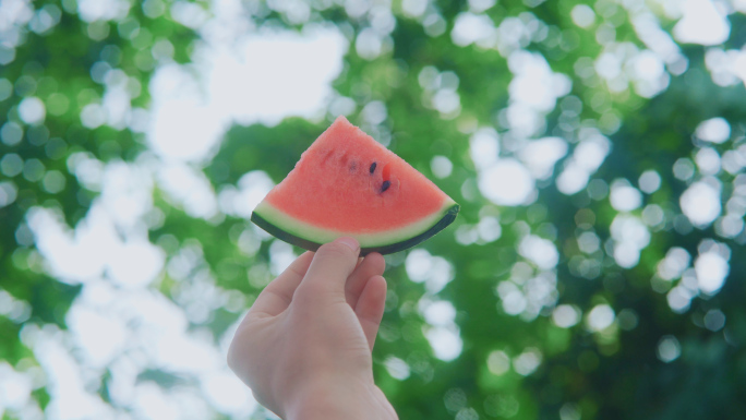 夏天唯美清新空镜清凉夏日手拿西瓜树叶斑驳