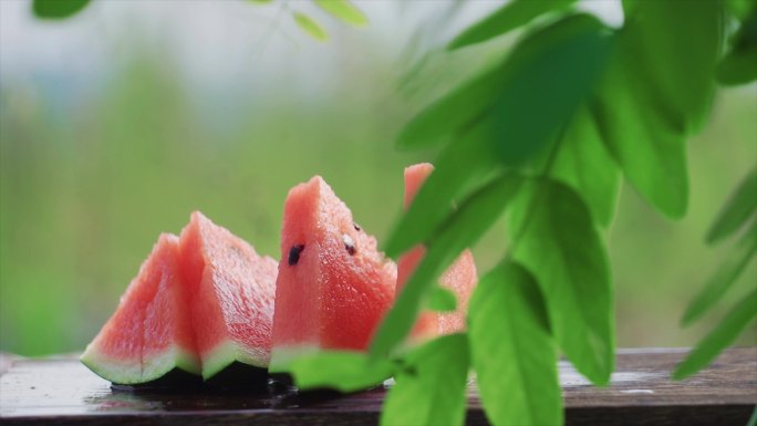 夏天西瓜素材树叶摆动轻轻夏日自由生活意境