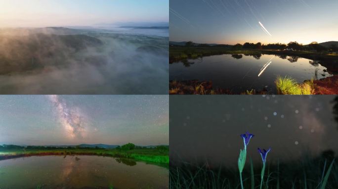 仲夏的镜泊湖喷气碟湿地