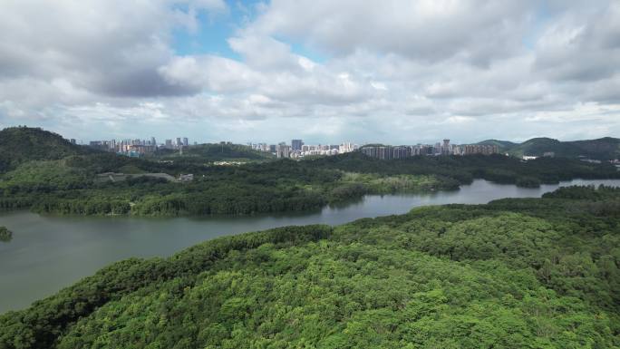 【正版素材】深圳铁岗水库