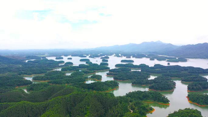 江门开平孔雀湖国家湿地公园