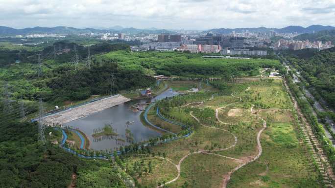 【正版素材】深圳铁岗水库