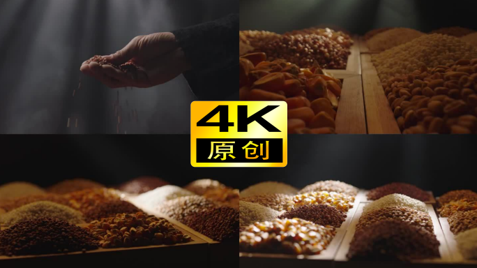 高粱粮食小麦白酒美酒酿造发酵酒窖酿酒茅台