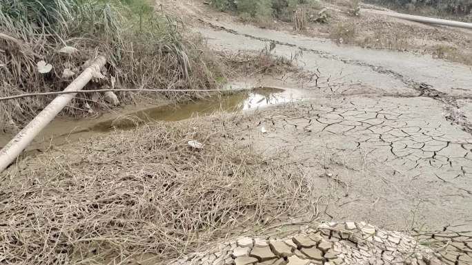 淤泥洪流过后的河床地洪灾浸泡过后的植物地