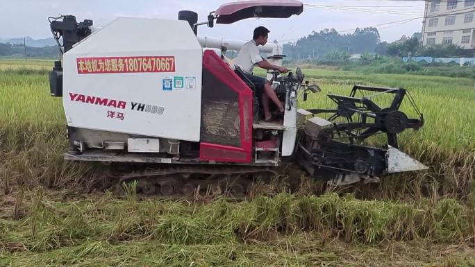 水稻收割机收割割稻谷机械化生产 农业器械