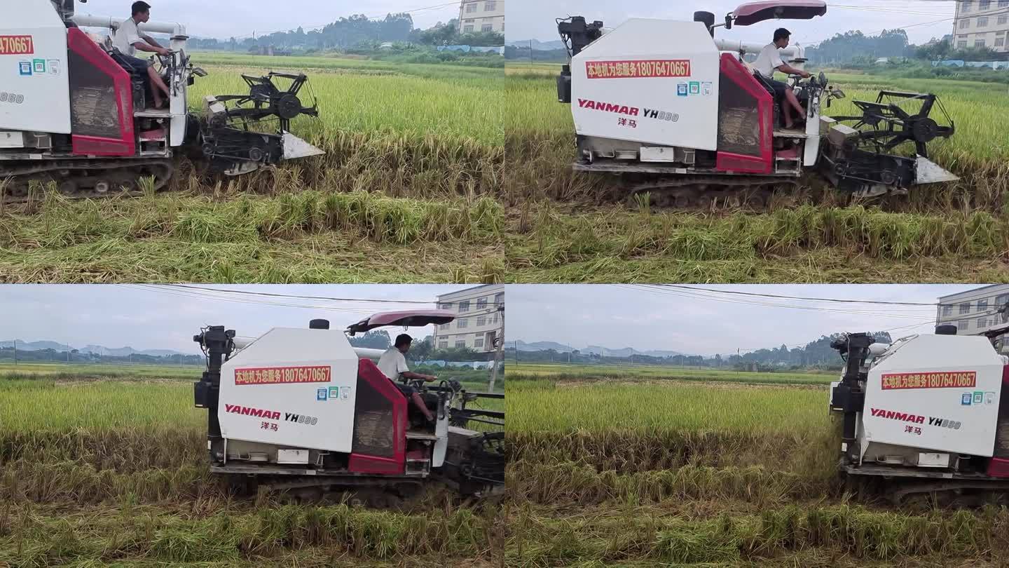 水稻收割机收割割稻谷机械化生产 农业器械