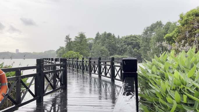 海珠湖暴雨