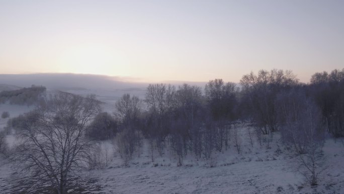 航拍山林雪地松林美景1