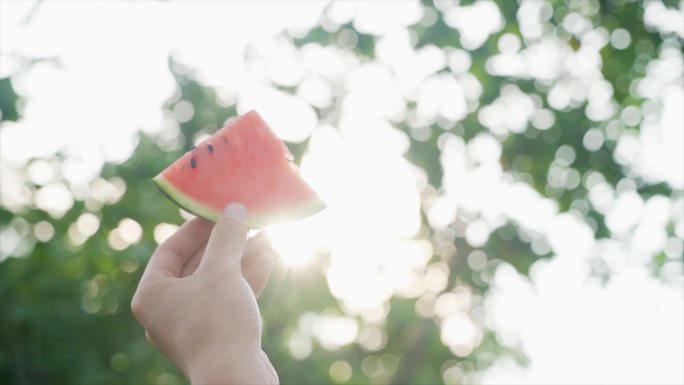 唯美夏天清新素材光影西瓜文艺空镜夏日绿荫