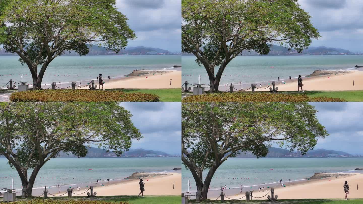 海边孤树
