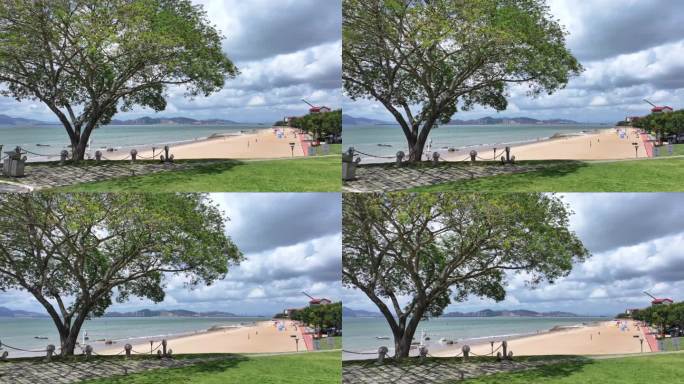 海边孤树
