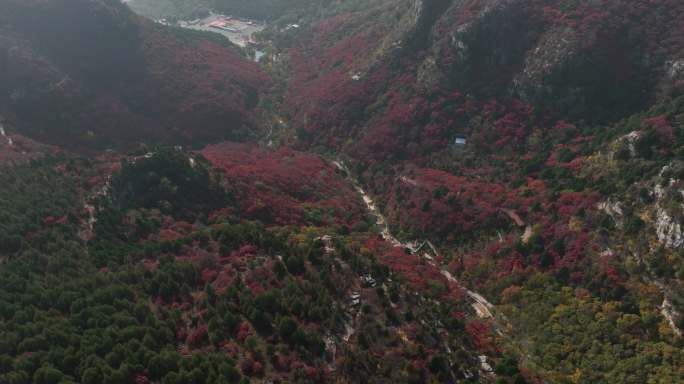 山东临朐县石门坊红叶谷