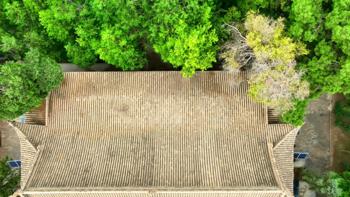 海藏寺1