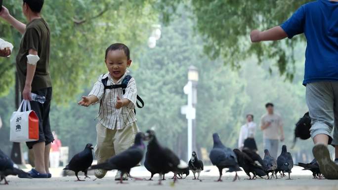 小孩公园喂鸽子