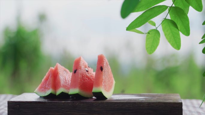 夏天西瓜意境唯美解暑夏意炎热夏天树叶摇摆