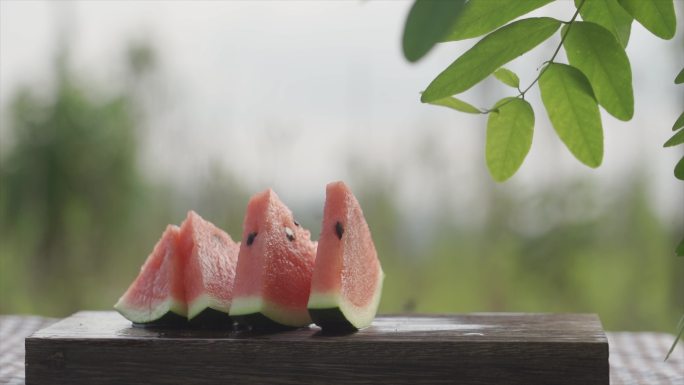 夏天西瓜意境唯美解暑夏意炎热夏天树叶摇摆