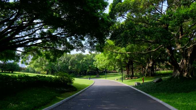 公园草坪草地 校园小路