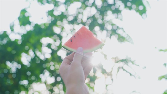 夏天树荫光影举手向天空吃西瓜清凉一夏唯美