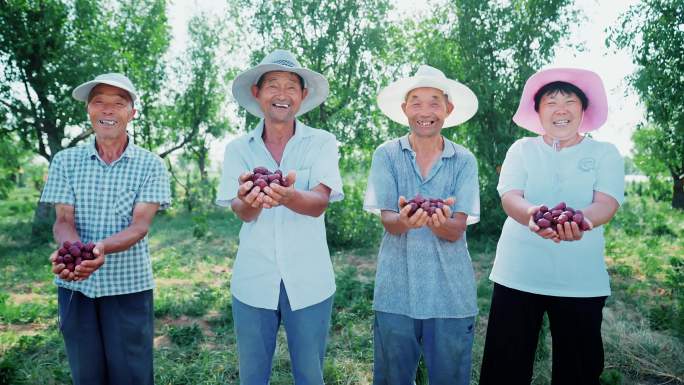 农产品大丰收果农笑容满面手捧红枣大笑