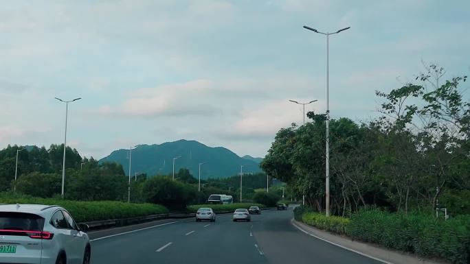 上班路上女司机开车