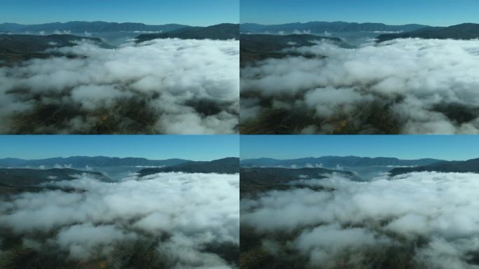 在大理山里面航拍的小型云海