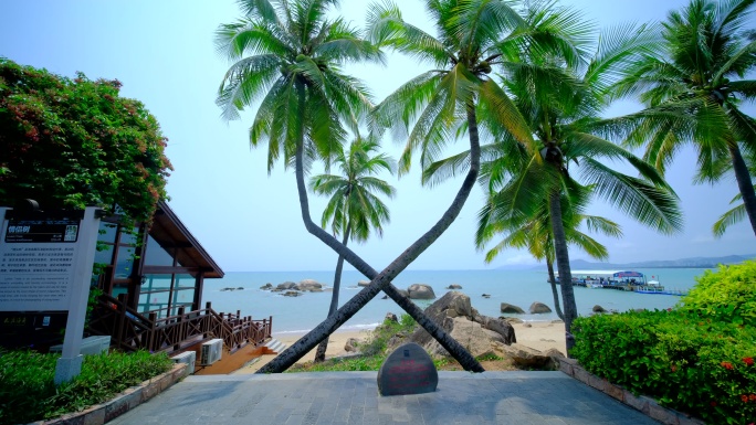 阴天椰树沙滩 海边椰子树