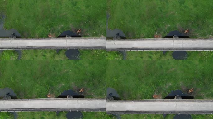 夏日氛围感   乡村河边傍晚风光