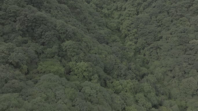 陕西宝鸡秦岭山脉4K航拍log素材