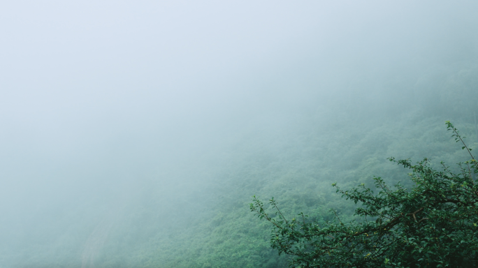 雨后清晨大山晨雾