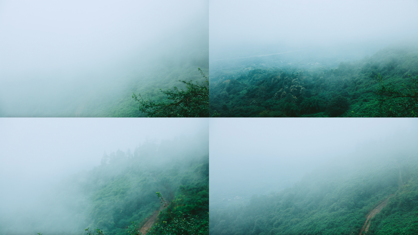 雨后清晨大山晨雾