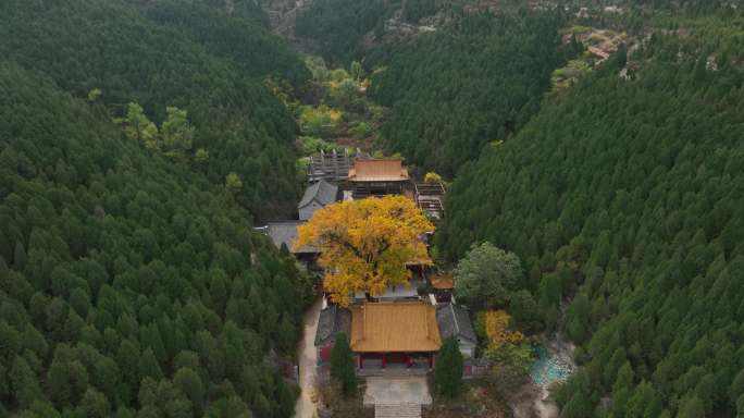 淌豆寺