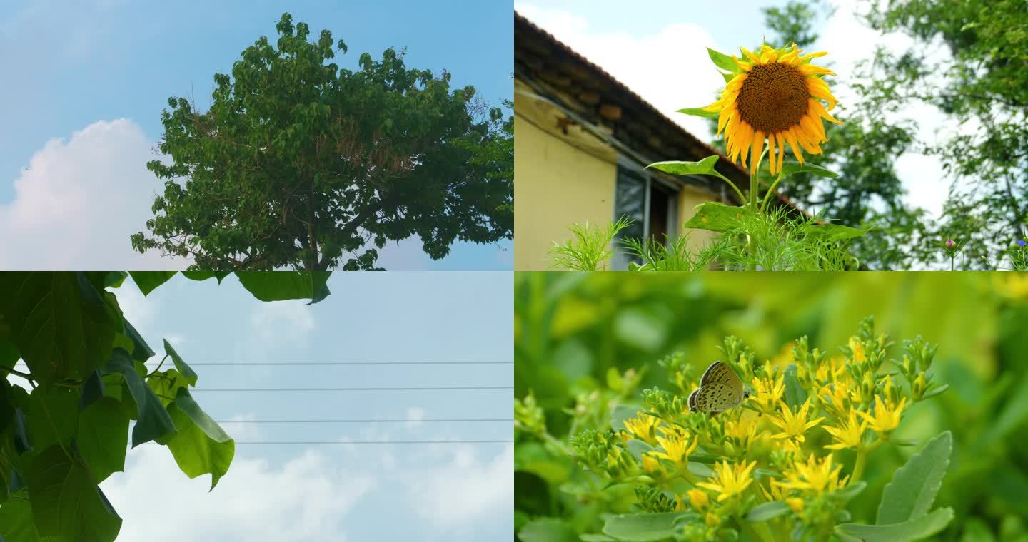 日系夏日空镜